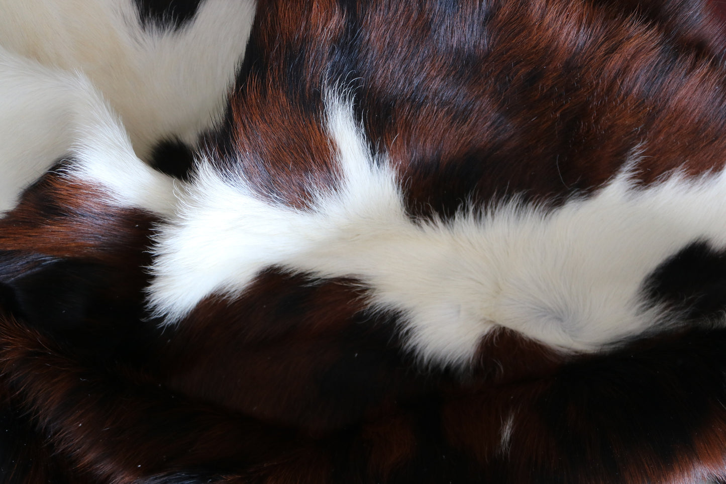 100176  Tricolor Cowhide Rug - Quebecuir Premium Collection