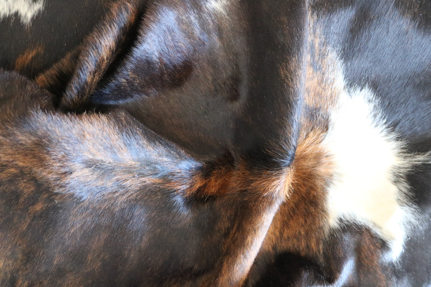 100177  Tricolor Cowhide Rug - Quebecuir Premium Collection