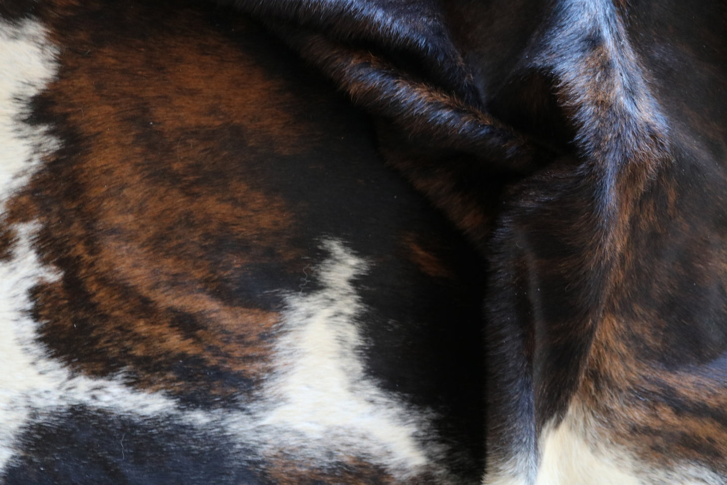 100177  Tricolor Cowhide Rug - Quebecuir Premium Collection