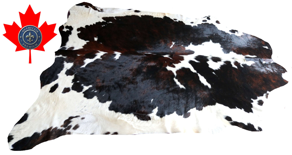 100365- SUPER BIG  SIZE XXXL TRICOLOR   Cowhide Rug - Quebecuir Premium Collection