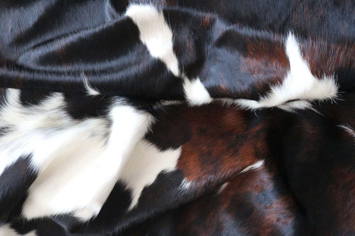 100365- SUPER BIG  SIZE XXXL TRICOLOR   Cowhide Rug - Quebecuir Premium Collection