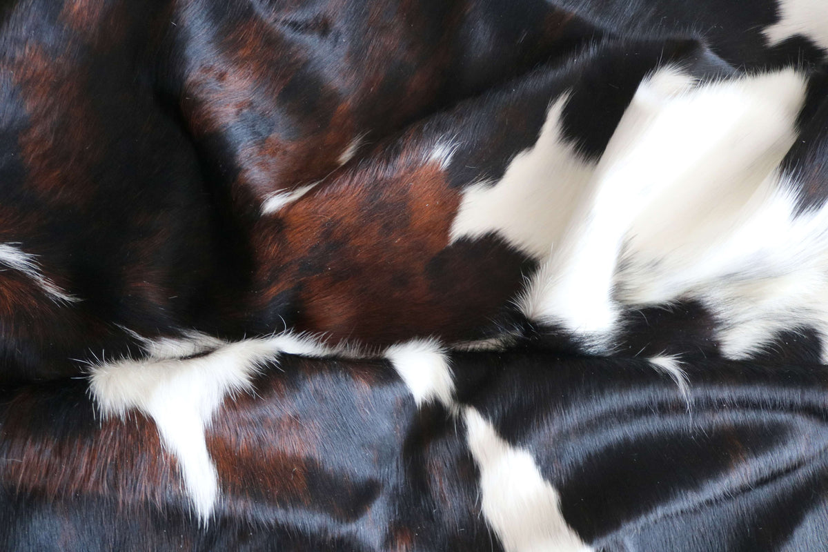 100365- SUPER BIG  SIZE XXXL TRICOLOR   Cowhide Rug - Quebecuir Premium Collection