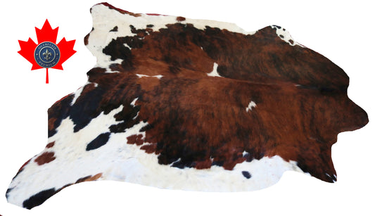 98776- Cowhide Rug Tapis Peau de Vache  SUPER BIG SIZE XXXL -TRICOLOR  Collection Quebecuir Premium