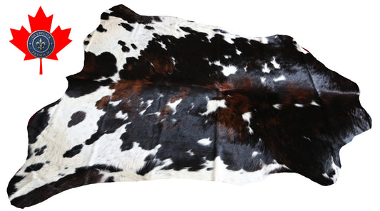 200601  Tricolor Cowhide Rug - Quebecuir Premium Collection