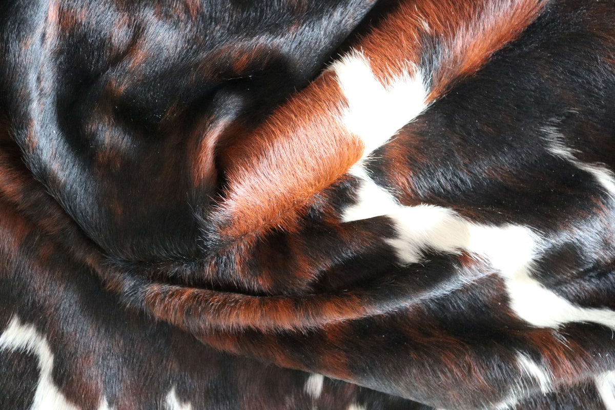 100366- SUPER BIG  SIZE XXXL TRICOLOR   Cowhide Rug - Quebecuir Premium Collection