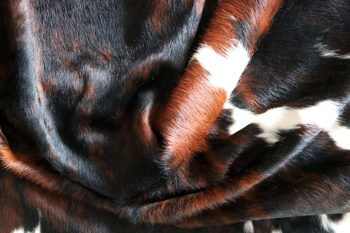 100366- SUPER BIG  SIZE XXXL TRICOLOR   Cowhide Rug - Quebecuir Premium Collection