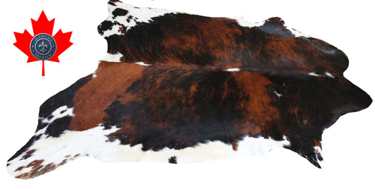 98779 - Cowhide Rug Tapis Peau de Vache  SUPER BIG SIZE XXXL -TRICOLOR  Collection Quebecuir Premium