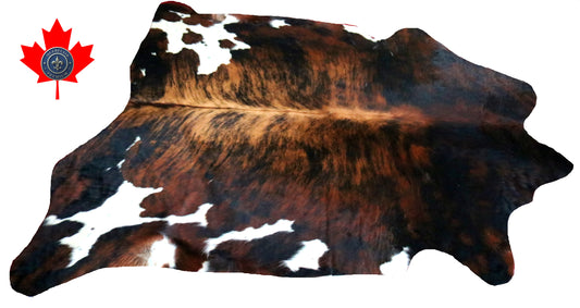 98785 - Cowhide Rug Tapis Peau de Vache  SUPER BIG SIZE XXXL -TRICOLOR  Collection Quebecuir Premium