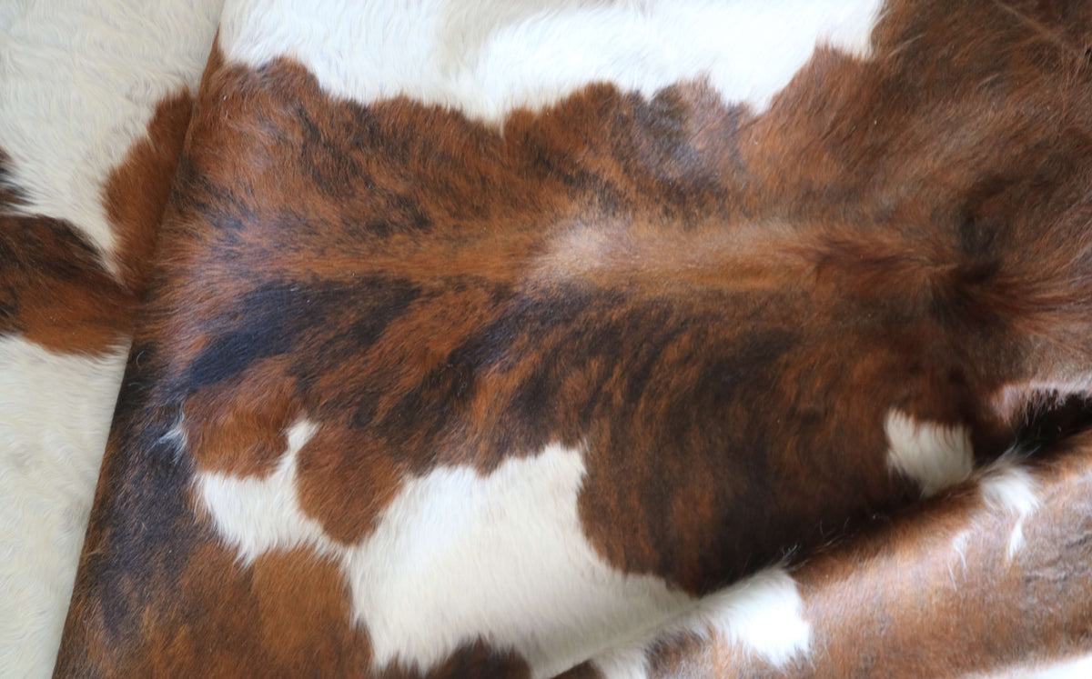 100367- SUPER BIG  SIZE XXXL TRICOLOR   Cowhide Rug - Quebecuir Premium Collection