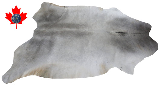 98787 - Cowhide Rug Tapis Peau de Vache  BIG SIZE XXL -GREY   Collection Quebecuir Premium