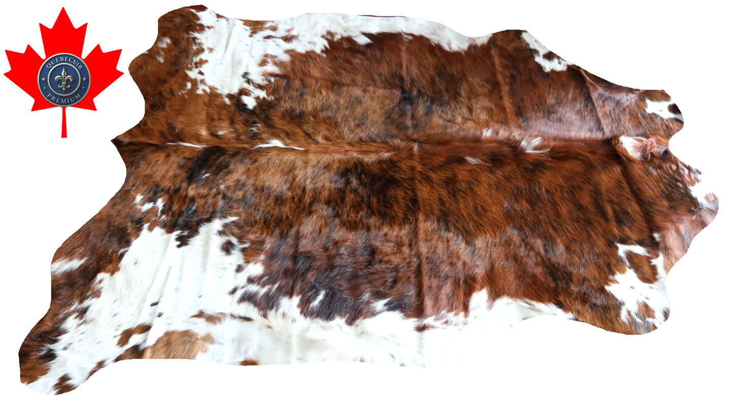 100187 Tricolor Cowhide Rug - Quebecuir Premium Collection