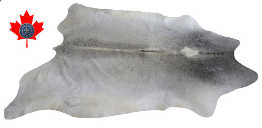 98788 - Cowhide Rug Tapis Peau de Vache  BIG SIZE XXL -GREY   Collection Quebecuir Premium