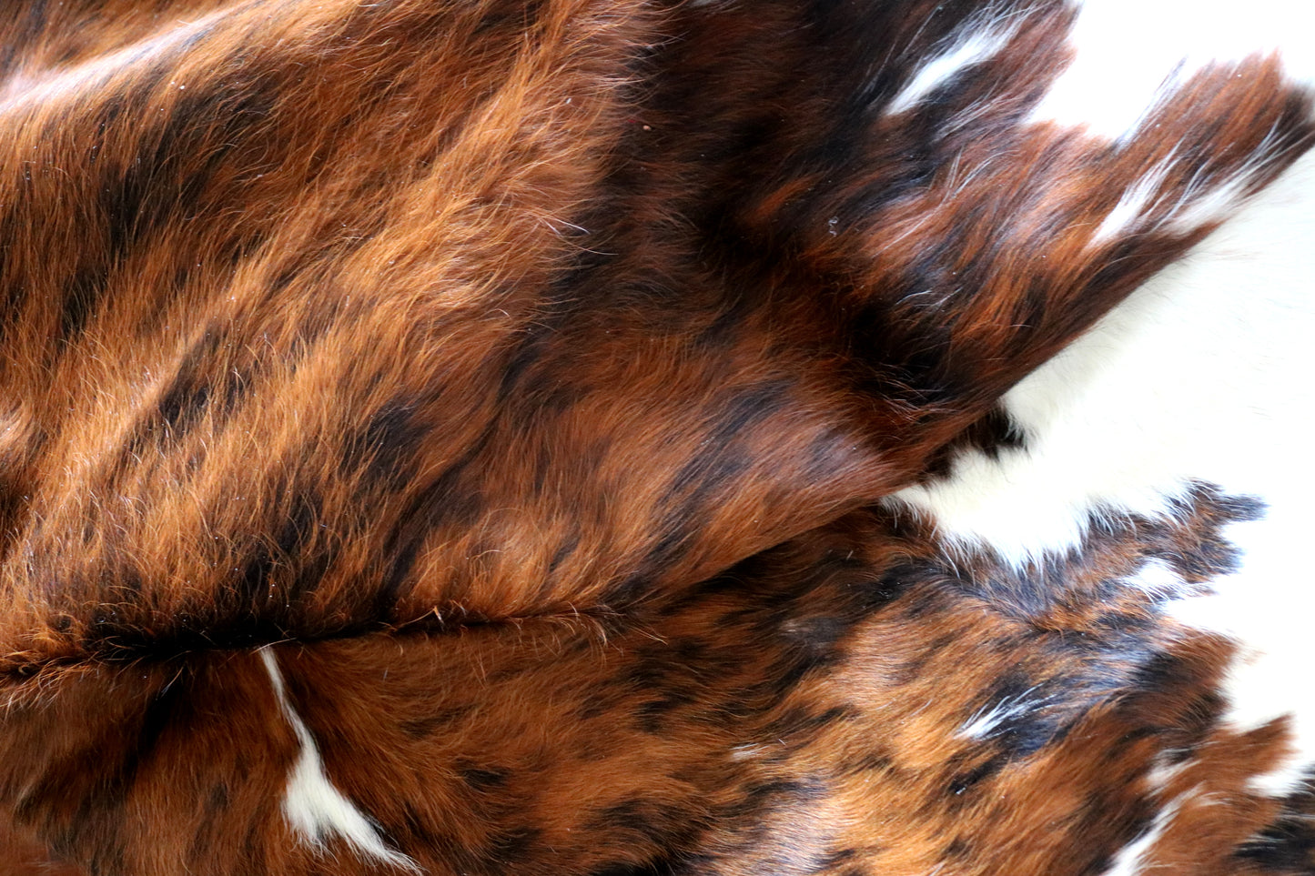 100187 Tricolor Cowhide Rug - Quebecuir Premium Collection