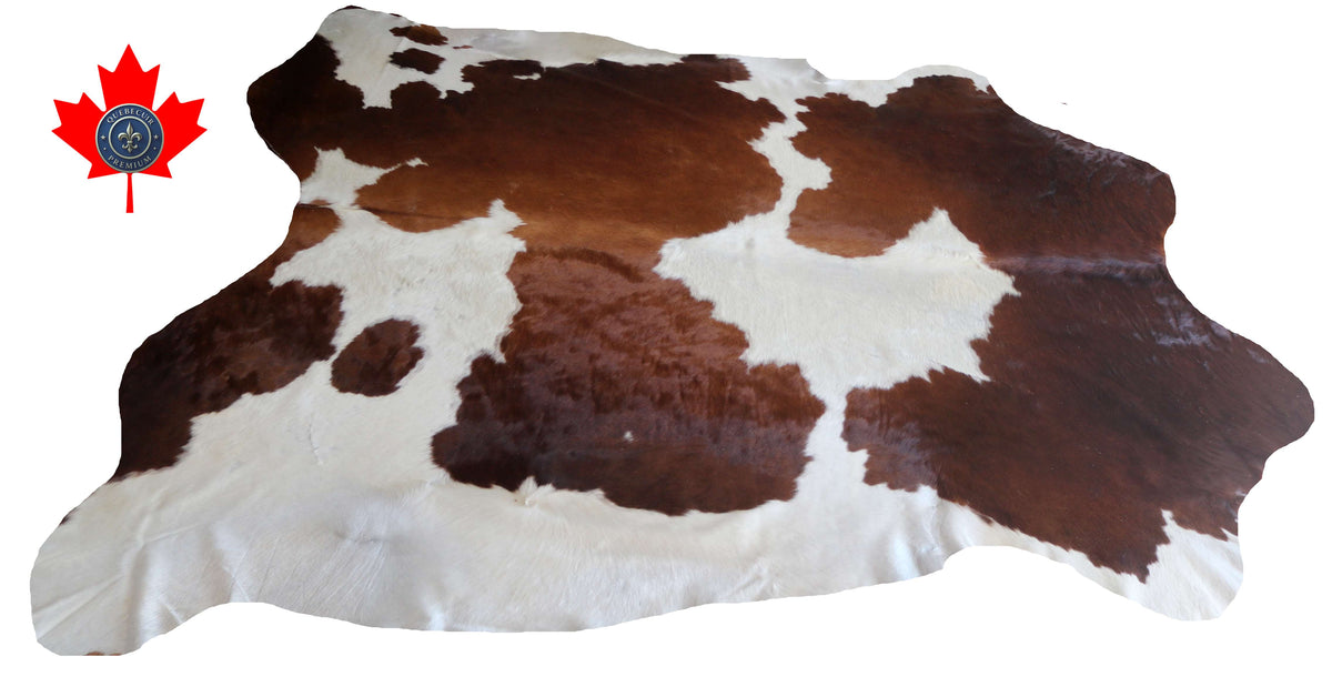 100373- SUPER BIG  SIZE XXXL    Cowhide Rug - Quebecuir Premium Collection