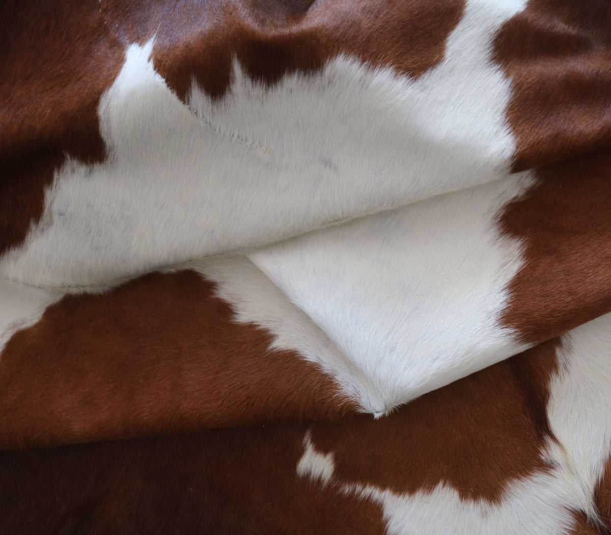 100373- SUPER BIG  SIZE XXXL    Cowhide Rug - Quebecuir Premium Collection