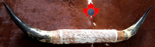 100198 Horns Cornes Collection Quebecuir Premium