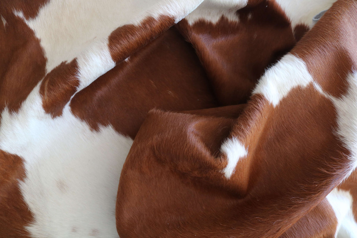 100378- SUPER BIG  SIZE XXXL BROWN & WHITE     Cowhide Rug - Quebecuir Premium Collection