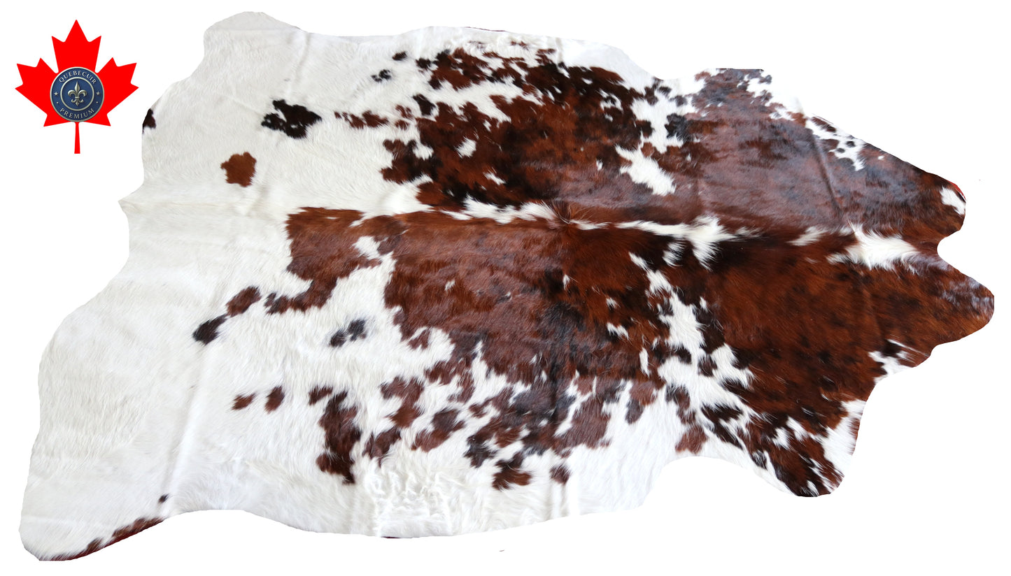 100199 TRICOLOR Cowhide Rug - Quebecuir Premium Collection