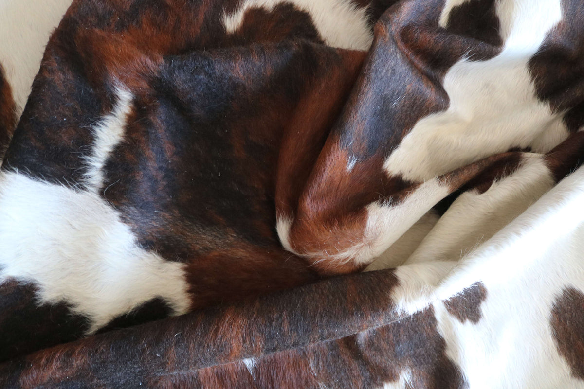 100380- SUPER BIG  SIZE XXXL TRICOLOR      Cowhide Rug - Quebecuir Premium Collection