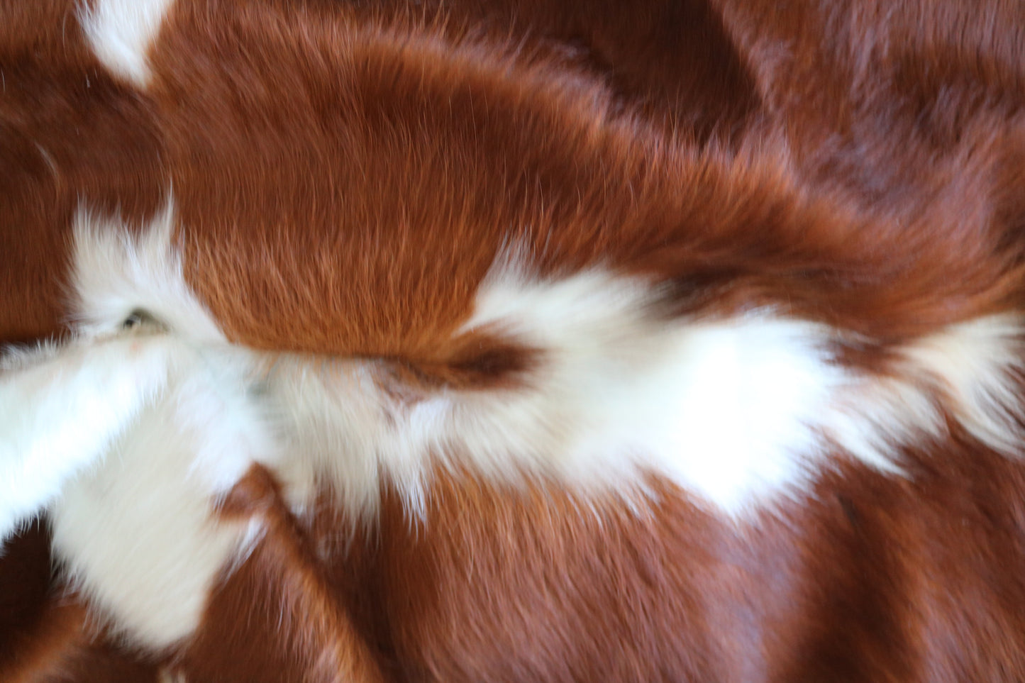 100201 BROWN & WHITE  Cowhide Rug - Quebecuir Premium Collection