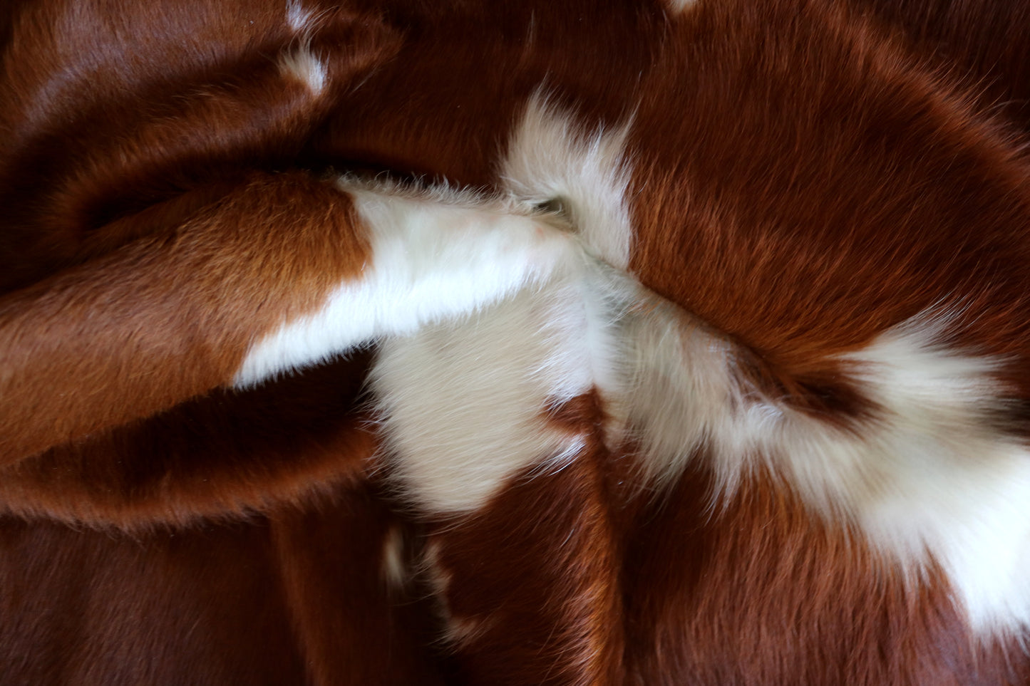 100201 BROWN & WHITE  Cowhide Rug - Quebecuir Premium Collection