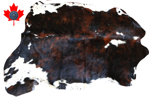 100204   Cowhide Rug - Quebecuir Premium Collection