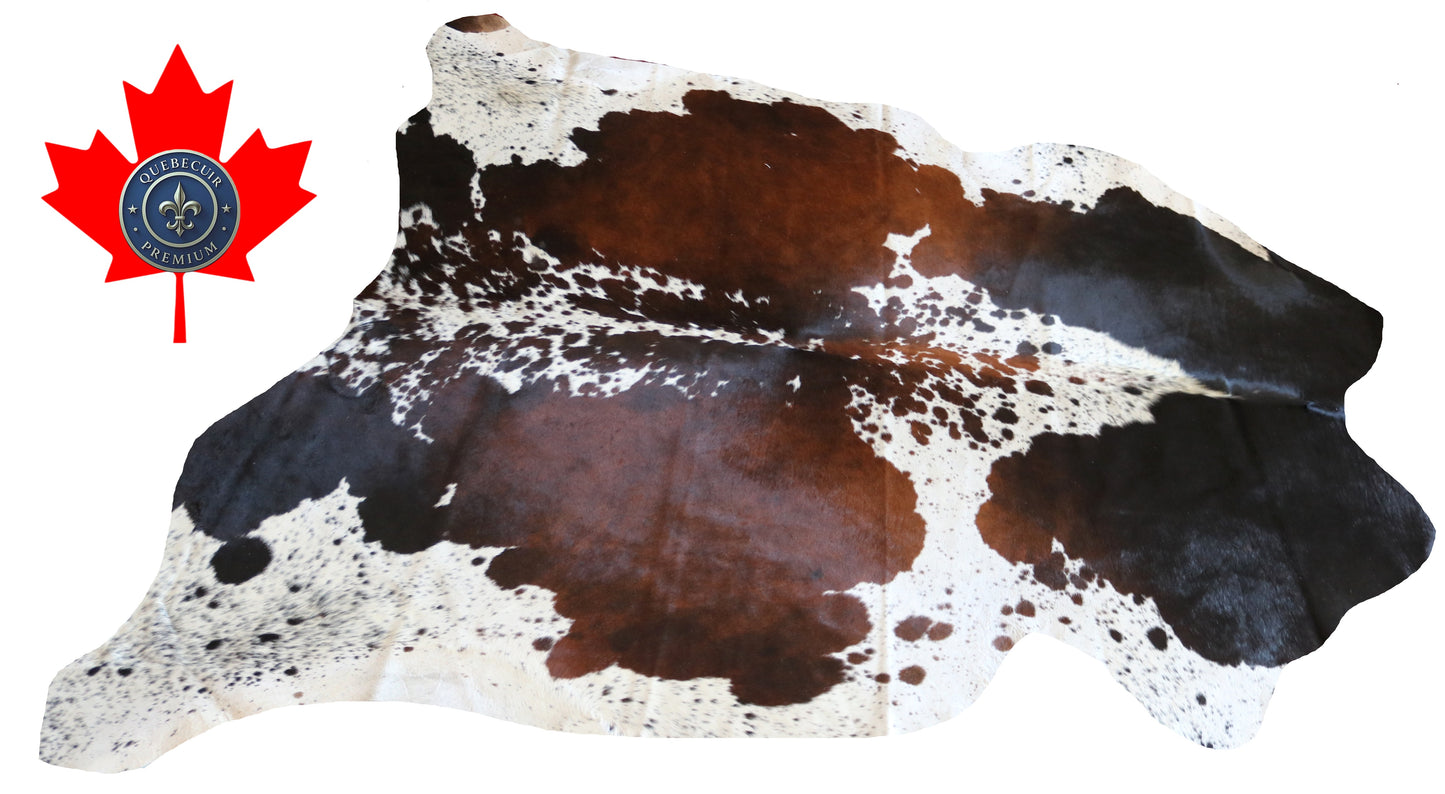 100206 TRICOLOR   Cowhide Rug - Quebecuir Premium Collection