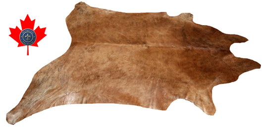 98807 - Cowhide Rug Tapis Peau de Vache  SUPER BIG SIZE XXXL -  Collection Quebecuir Premium