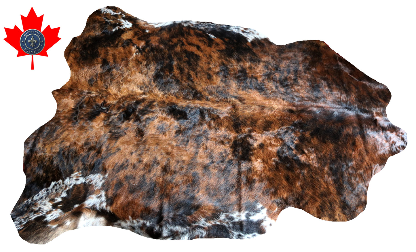 100208 TRICOLOR  Cowhide Rug - Quebecuir Premium Collection