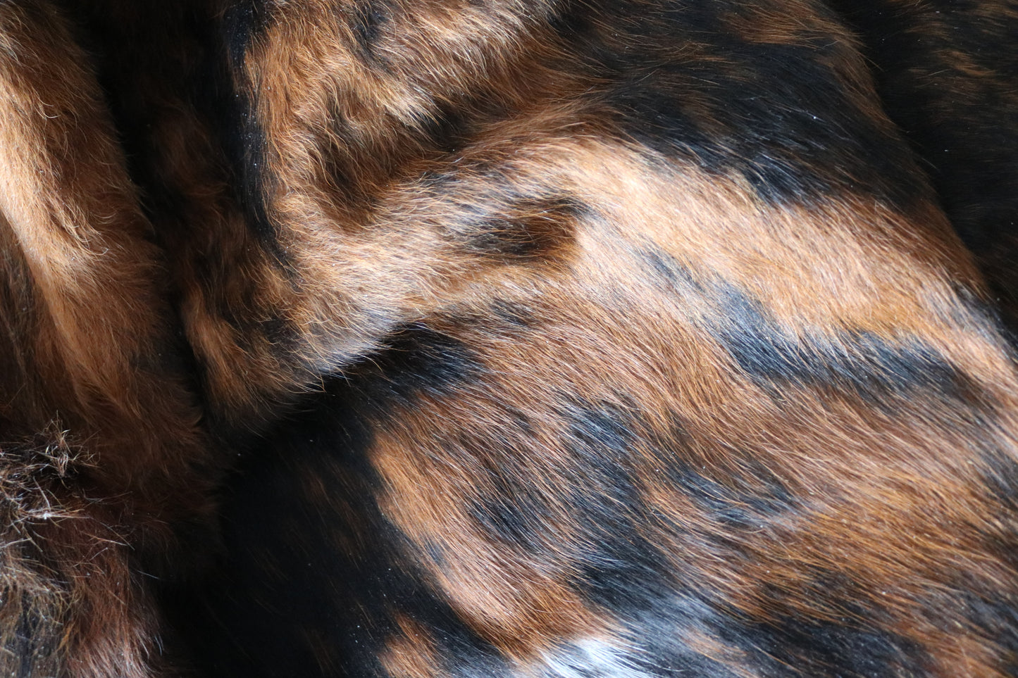 100208 TRICOLOR  Cowhide Rug - Quebecuir Premium Collection