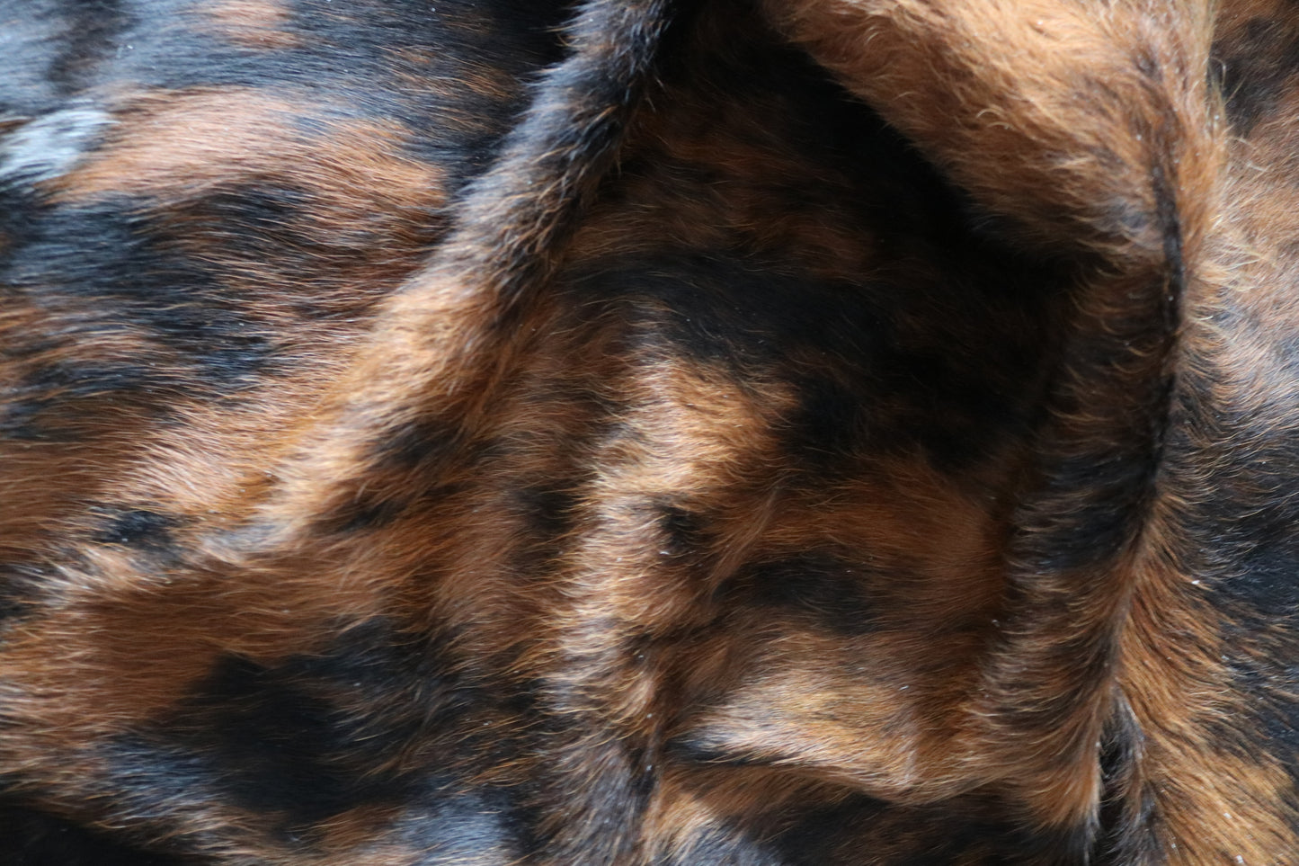 100208 TRICOLOR  Cowhide Rug - Quebecuir Premium Collection