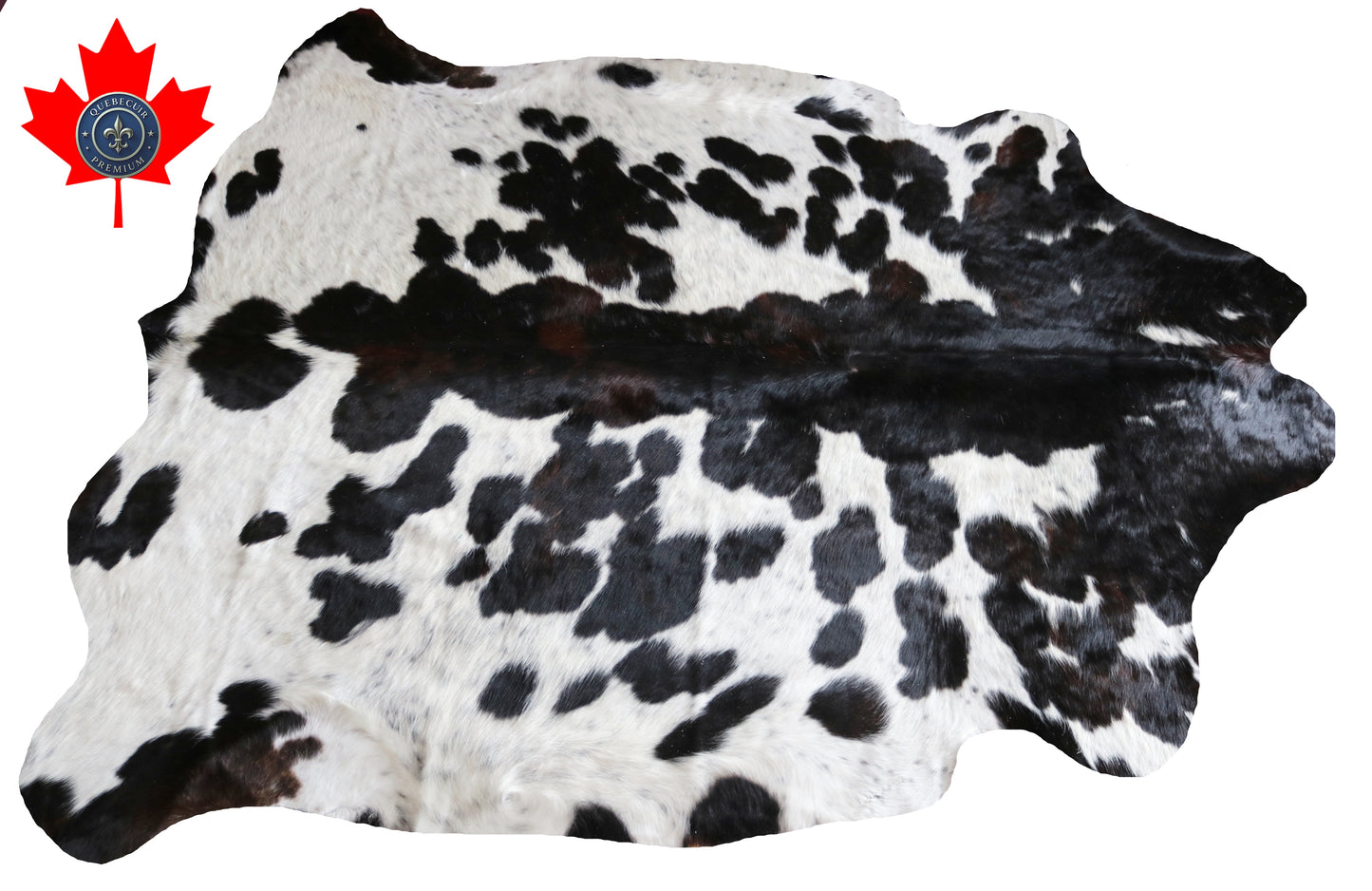 100209 TRICOLOR  Cowhide Rug - Quebecuir Premium Collection