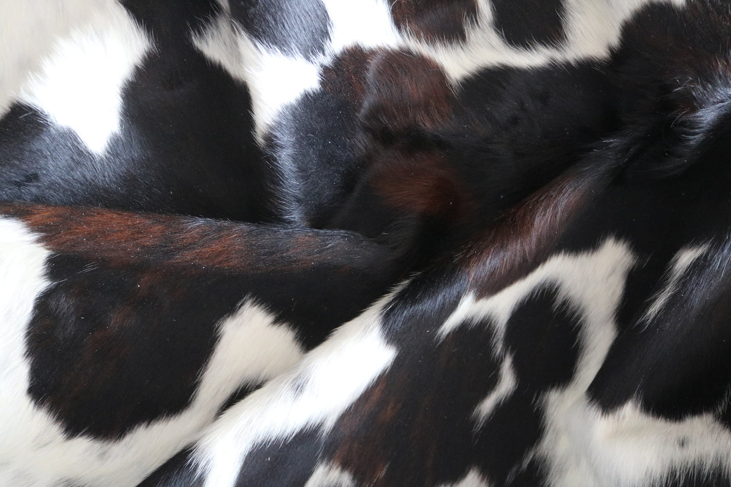 100209 TRICOLOR  Cowhide Rug - Quebecuir Premium Collection
