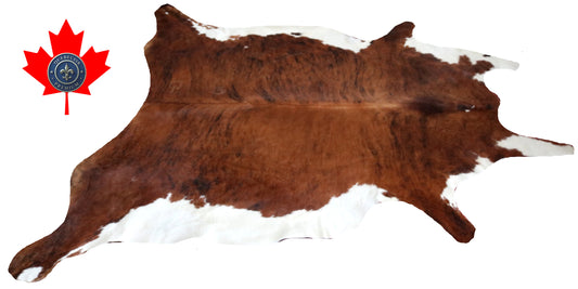 98812- Cowhide Rug Tapis Peau de Vache   BIG SIZE XXL -  Collection Quebecuir Premium