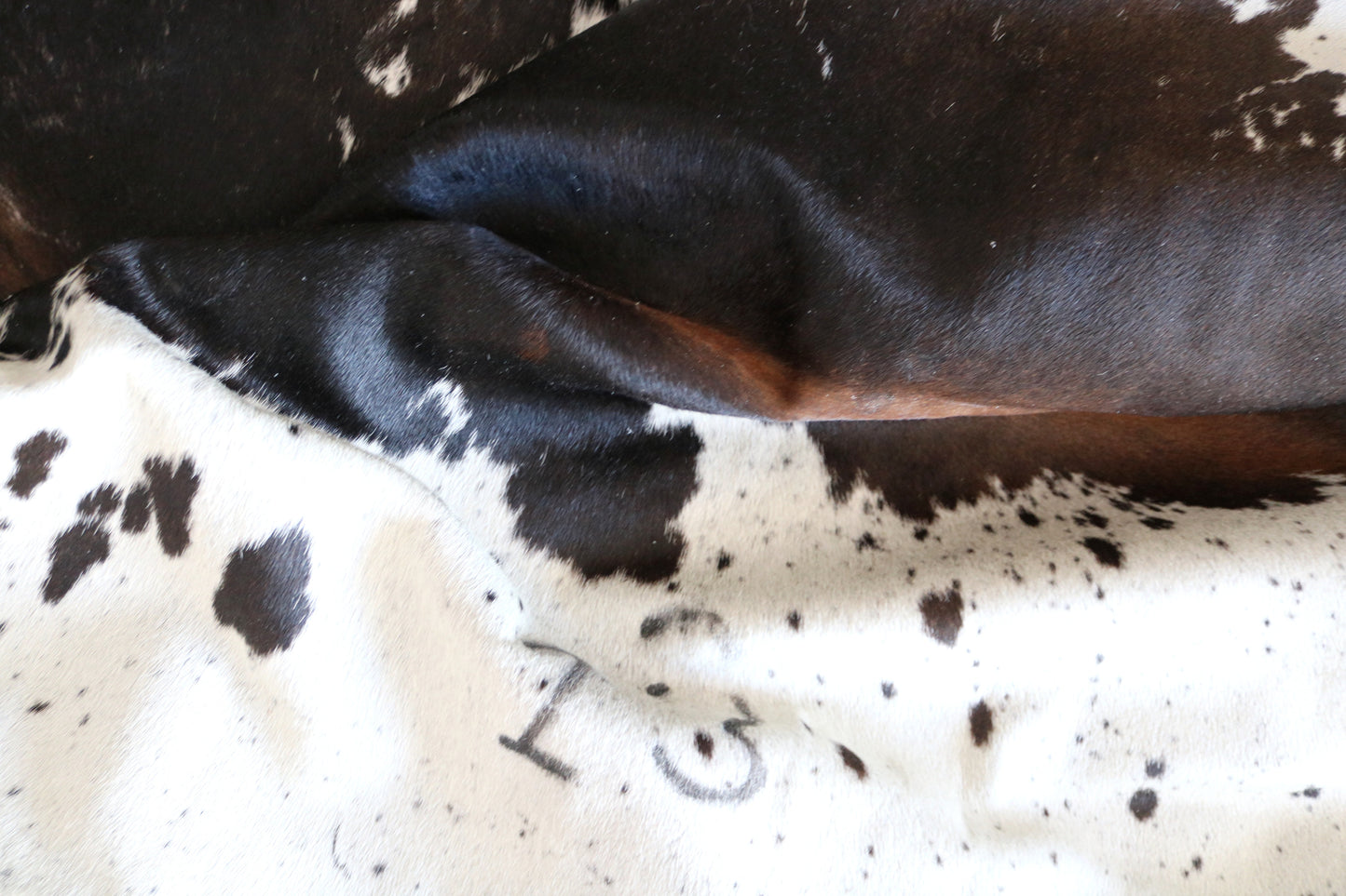 100210 -   Cowhide Rug - Quebecuir Premium Collection