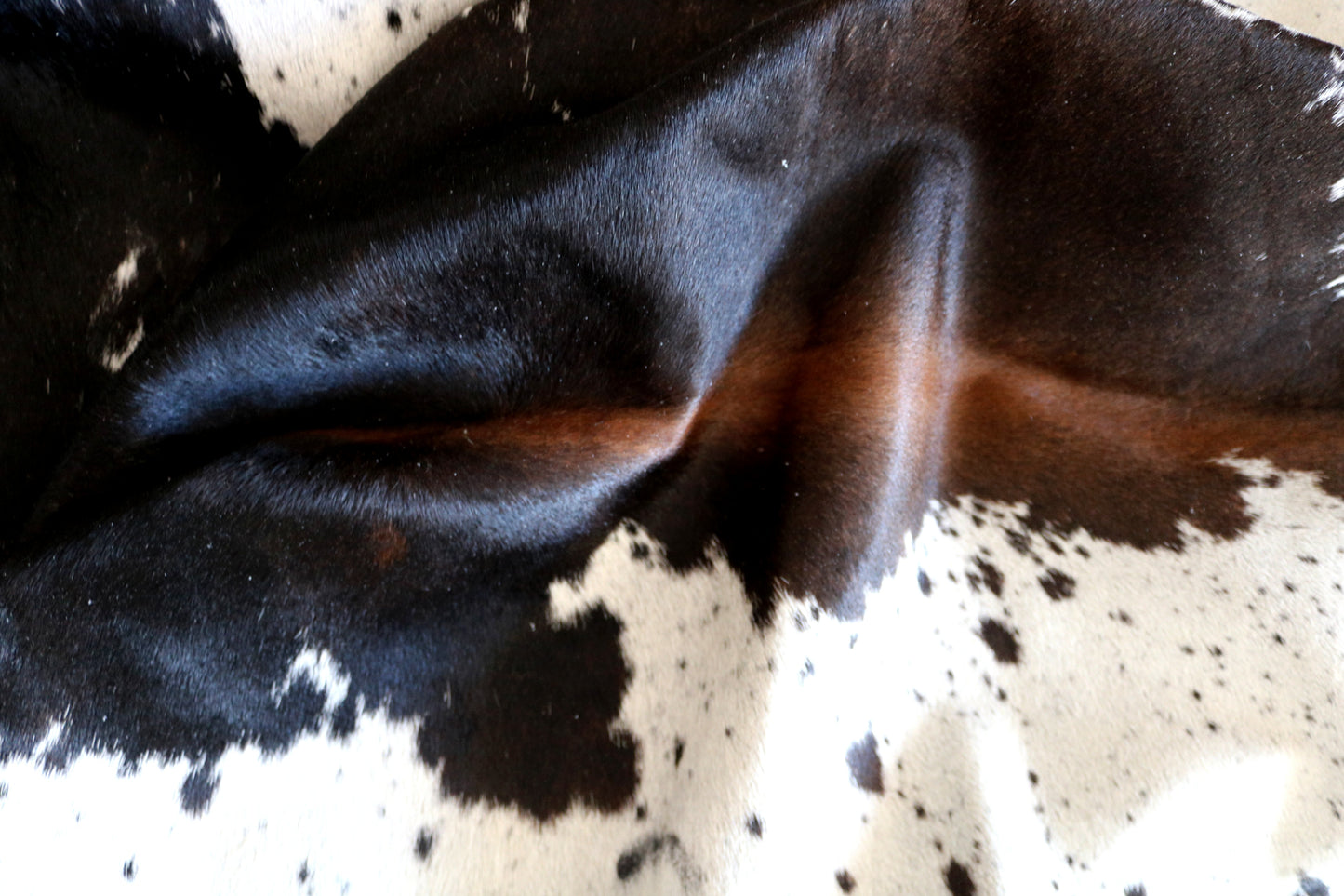 100210 -   Cowhide Rug - Quebecuir Premium Collection