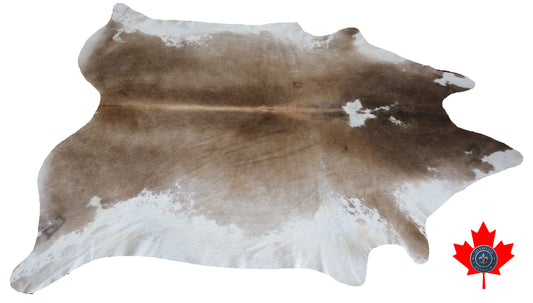 98815- Cowhide Rug Tapis Peau de Vache   BIG SIZE XXL -  Collection Quebecuir Premium