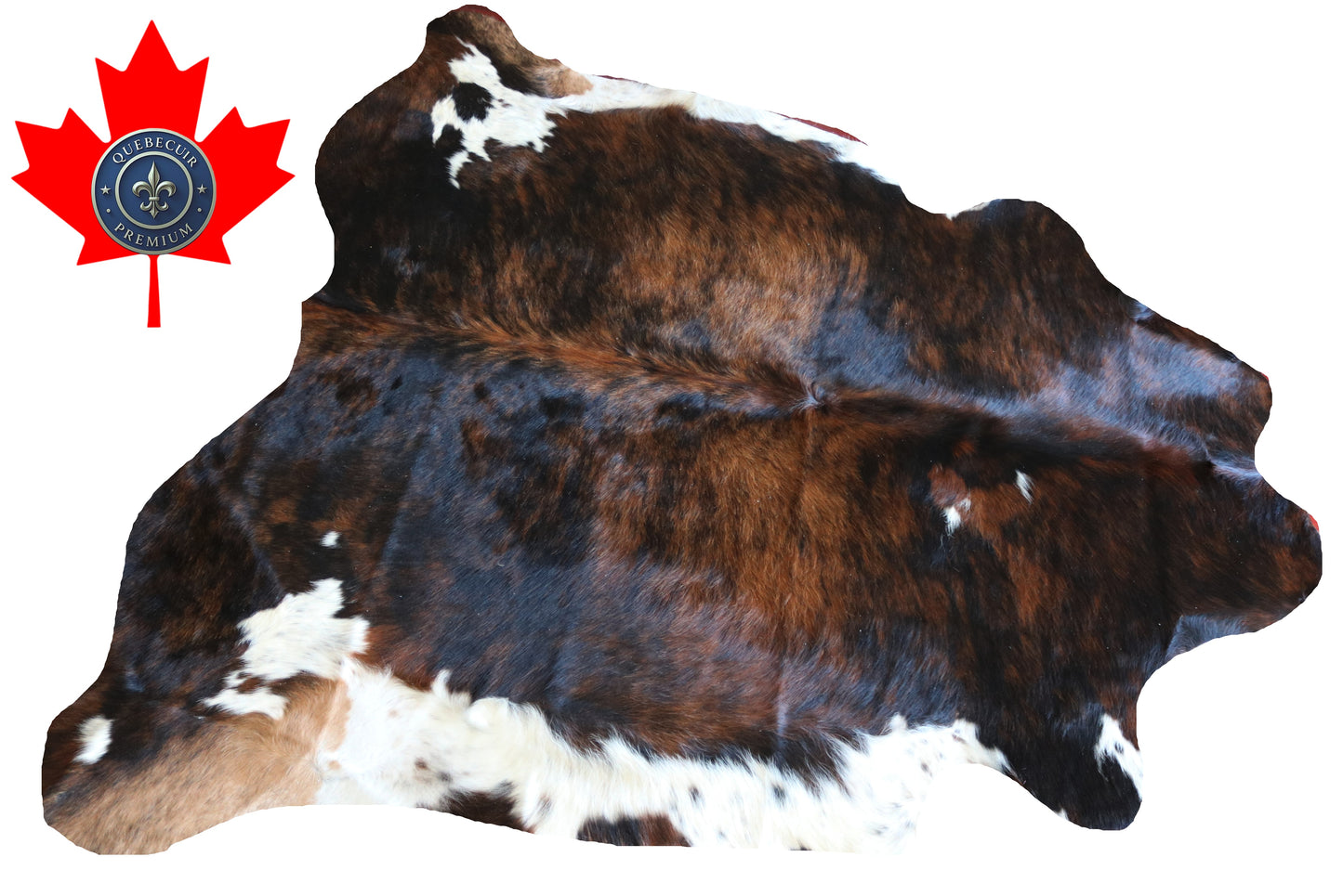 100211 TRICOLOR  Cowhide Rug - Quebecuir Premium Collection