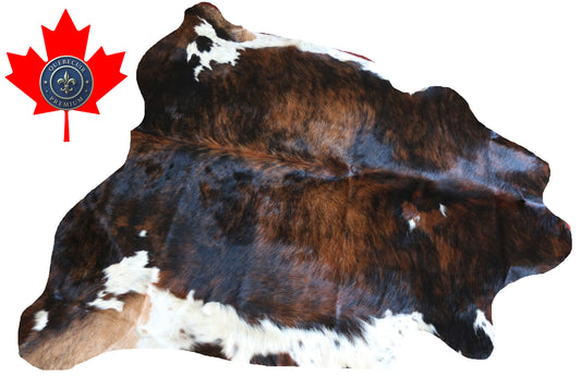 100211 TRICOLOR  Cowhide Rug - Quebecuir Premium Collection