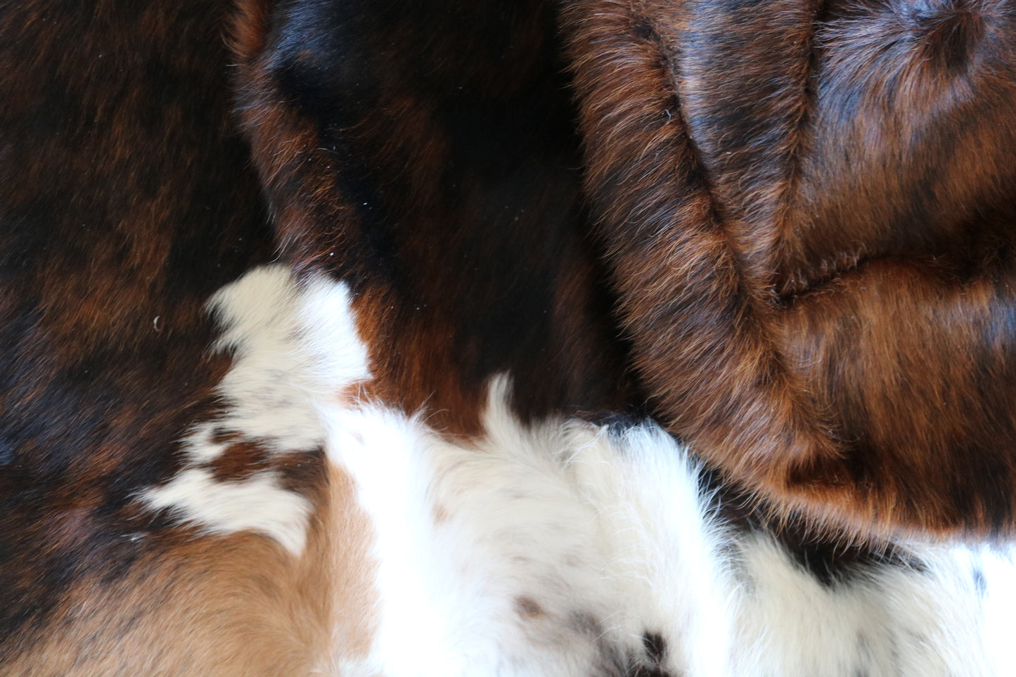 100211 TRICOLOR  Cowhide Rug - Quebecuir Premium Collection