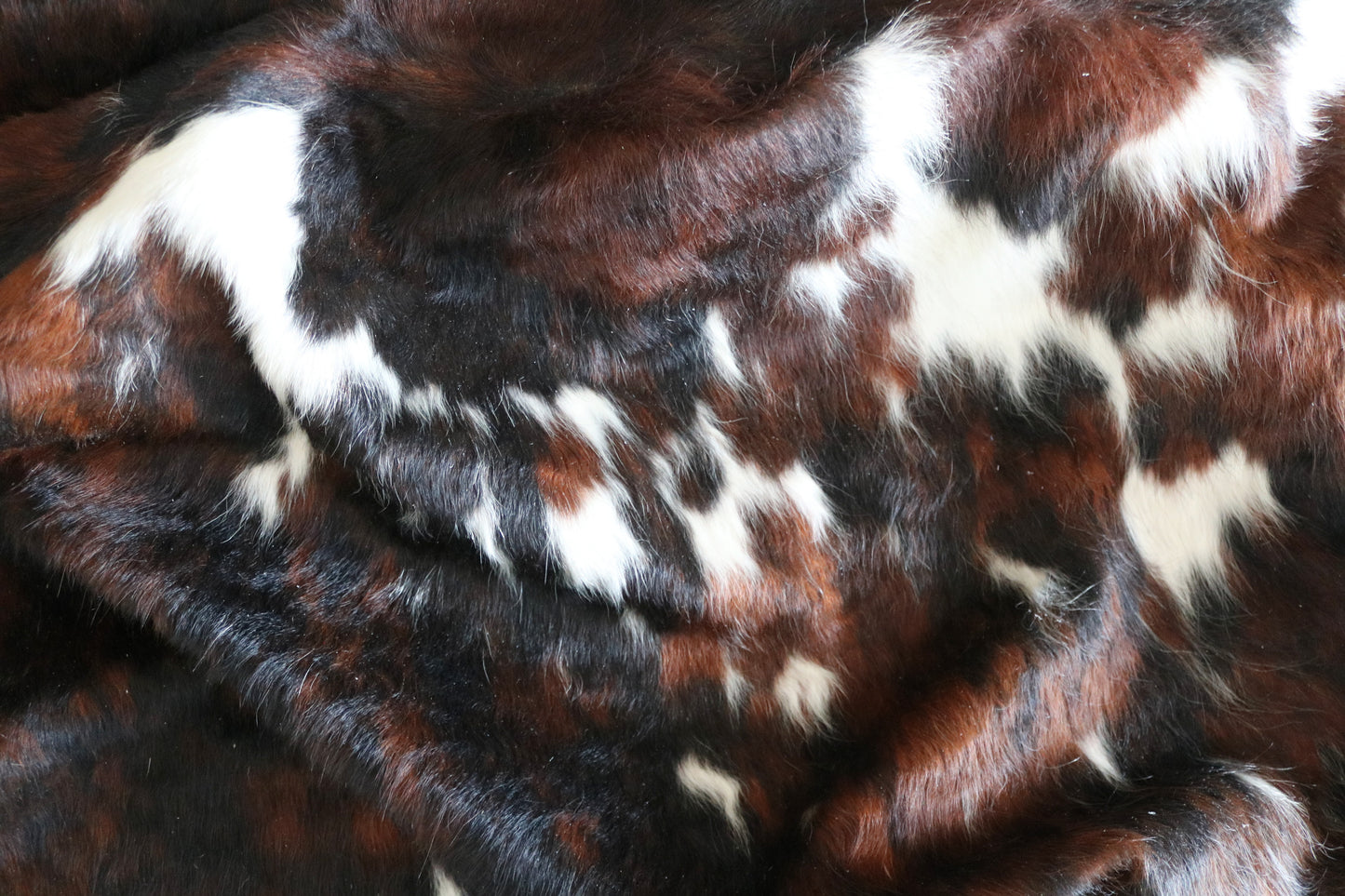 100214- SUPER BIG  SIZE XXXL TRICOLOR  Cowhide Rug - Quebecuir Premium Collection
