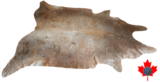 98825 - Cowhide Rug Tapis Peau de Vache  SUPER BIG SIZE XXXL -  Collection Quebecuir Premium