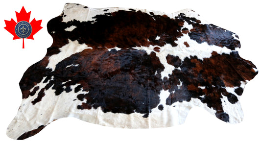 100216- SUPER BIG  SIZE XXXL TRICOLOR  Cowhide Rug - Quebecuir Premium Collection