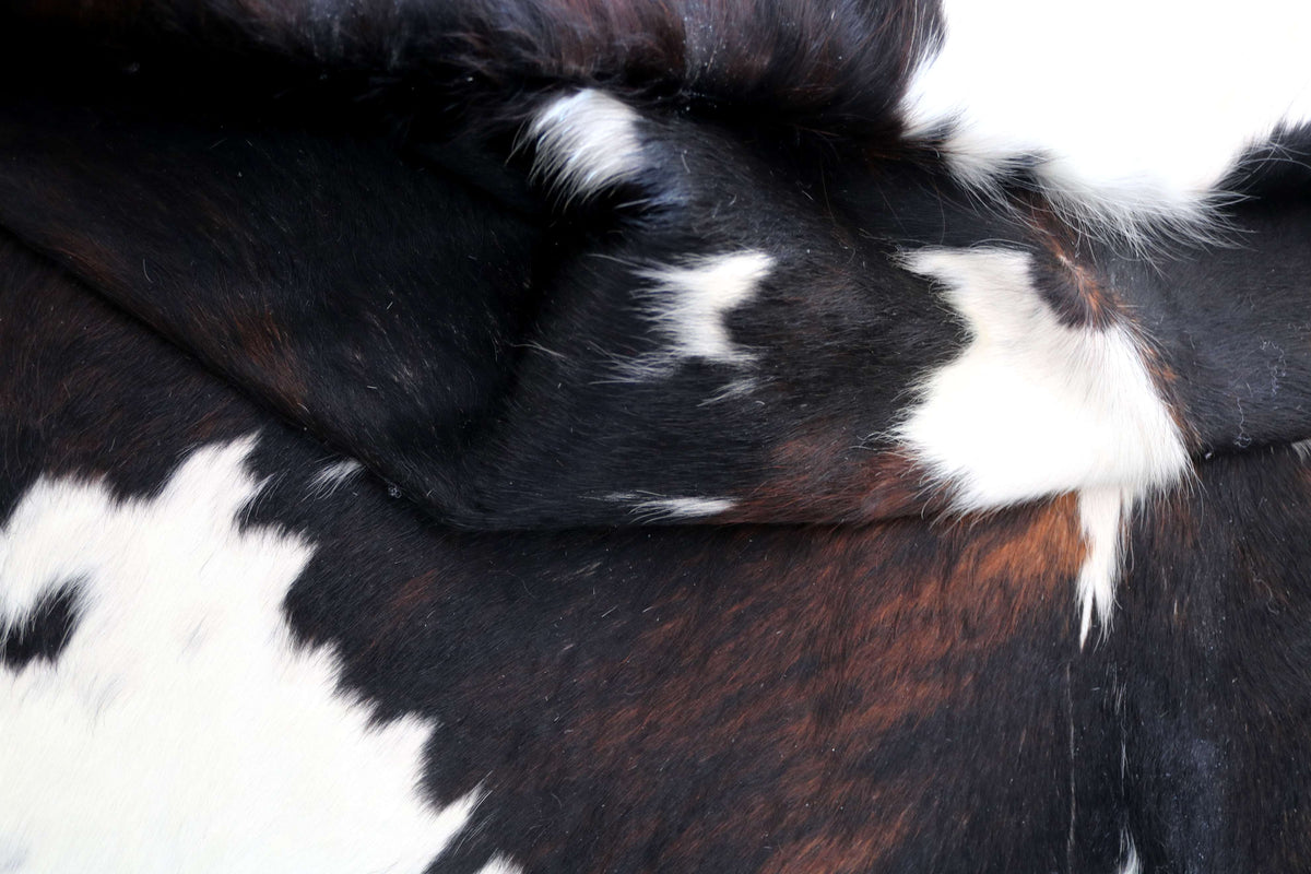 100381- SUPER BIG  SIZE XXXL TRICOLOR      Cowhide Rug - Quebecuir Premium Collection