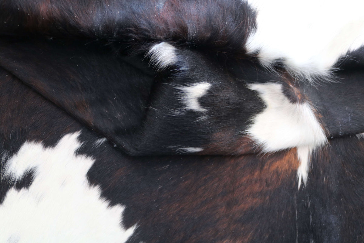 100381- SUPER BIG  SIZE XXXL TRICOLOR      Cowhide Rug - Quebecuir Premium Collection