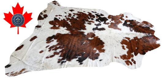 100218- SUPER BIG  SIZE XXXL TRICOLOR  Cowhide Rug - Quebecuir Premium Collection
