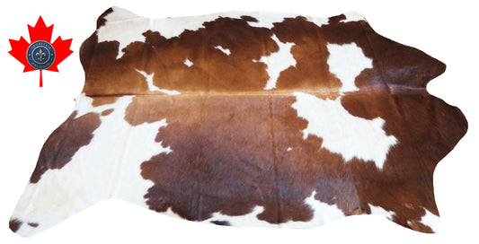 100220  Cowhide Rug - Quebecuir Premium Collection