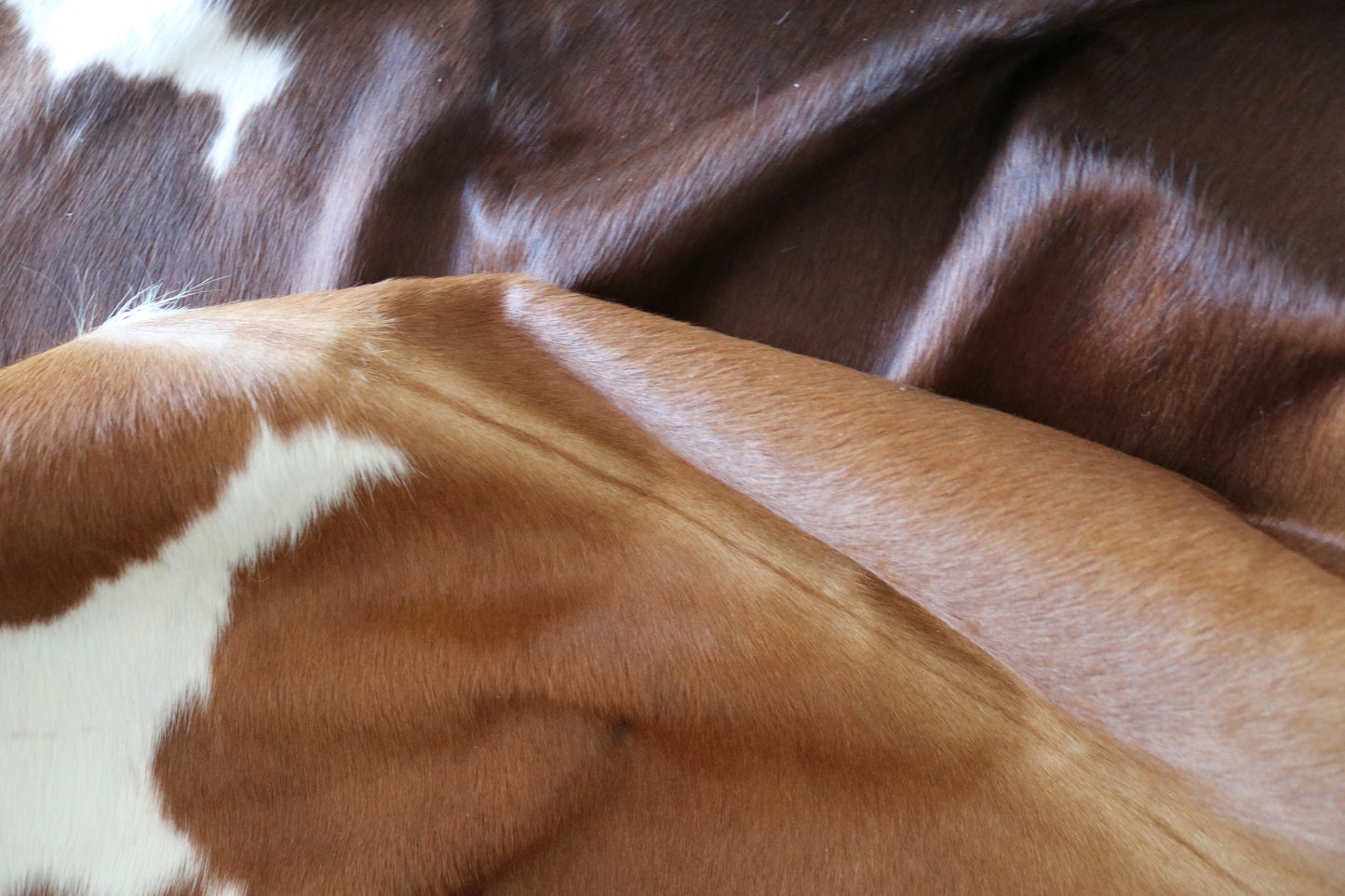 100220  Cowhide Rug - Quebecuir Premium Collection