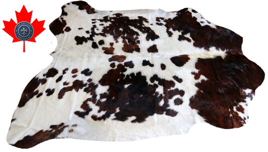 100221- SUPER BIG  SIZE XXXL TRICOLOR  Cowhide Rug - Quebecuir Premium Collection
