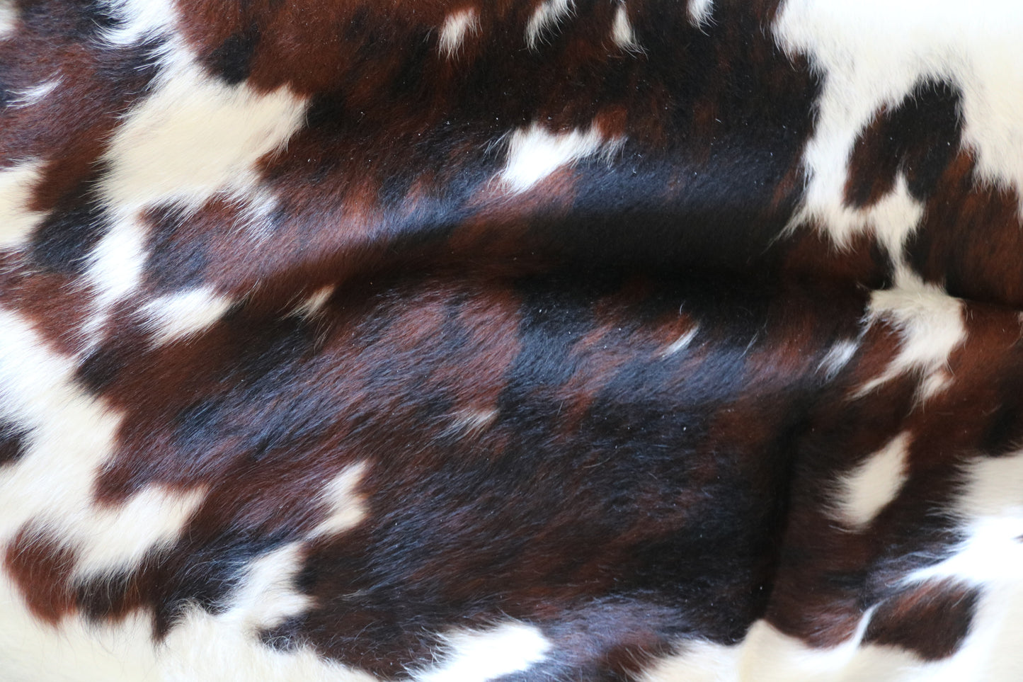 100221- SUPER BIG  SIZE XXXL TRICOLOR  Cowhide Rug - Quebecuir Premium Collection